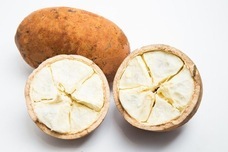 株式会社ローズクリエイトのプレスリリース画像2