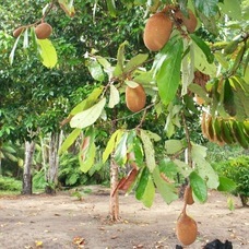 株式会社ローズクリエイトのプレスリリース画像3