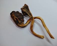 株式会社ローズクリエイトのプレスリリース画像3