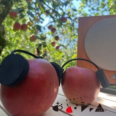 株式会社ローズクリエイトのプレスリリース画像3