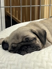 株式会社ローズクリエイトのプレスリリース画像2