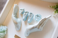 株式会社ローズクリエイトのプレスリリース画像4