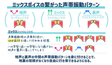 株式会社ローズクリエイトのプレスリリース画像3