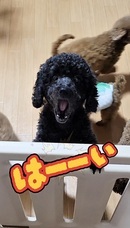 株式会社ローズクリエイトのプレスリリース画像1