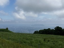 株式会社ローズクリエイトのプレスリリース画像3