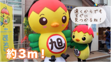 株式会社アドプリントのプレスリリース画像1