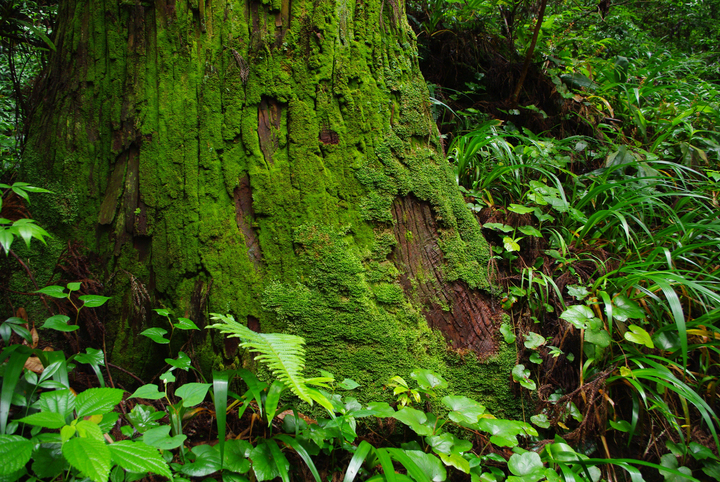 株式会社アスカム＿kinokotoのプレスリリース画像9