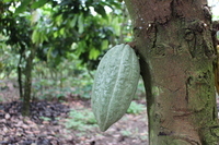 株式会社アトリカのプレスリリース画像3