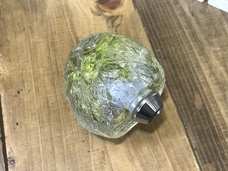 株式会社　ホットスポットのプレスリリース画像5