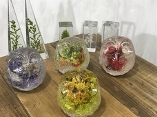 株式会社　ホットスポットのプレスリリース画像6