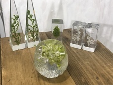 株式会社　ホットスポットのプレスリリース画像4