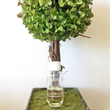 株式会社エクシオジャパンのプレスリリース画像5