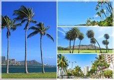 株式会社エクシオジャパンのプレスリリース画像4