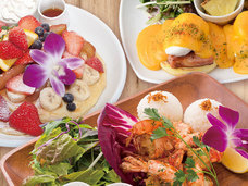 株式会社エクシオジャパンのプレスリリース画像3