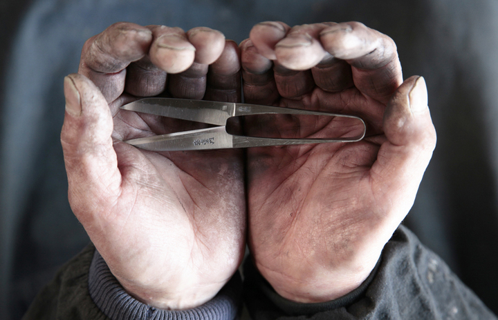 合同会社シーラカンス食堂のプレスリリース画像4