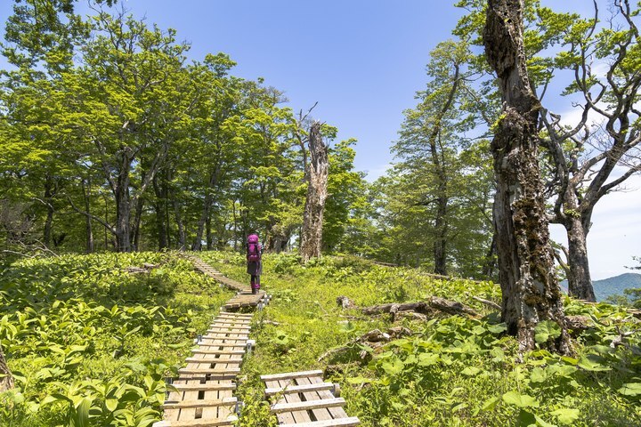 株式会社Lifeitのプレスリリース画像2