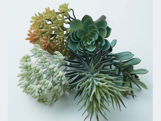 株式会社Lifeitのプレスリリース画像4