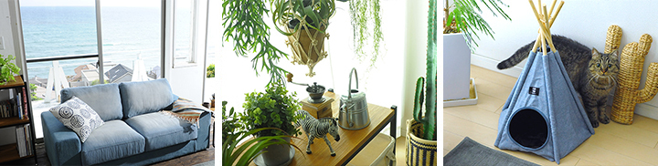 株式会社Lifeitのプレスリリース画像3