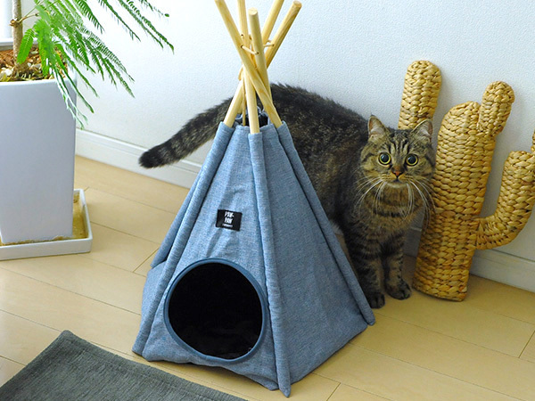 株式会社Lifeitのプレスリリース画像1