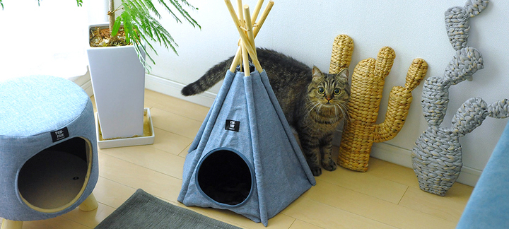 株式会社Lifeitのプレスリリース画像6