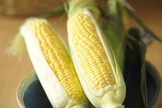 株式会社Lifeitのプレスリリース画像5