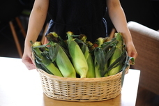 株式会社Lifeitのプレスリリース画像6