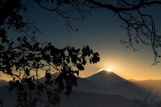 株式会社Lifeitのプレスリリース画像2