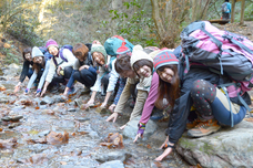 株式会社Lifeitのプレスリリース画像1