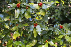 株式会社Lifeitのプレスリリース画像8