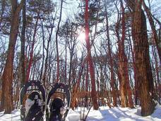 株式会社Lifeitのプレスリリース画像2