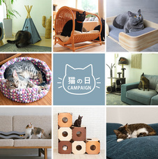 株式会社Lifeitのプレスリリース画像2