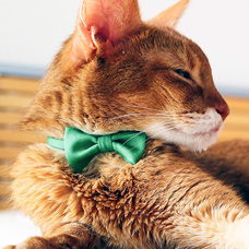 株式会社Lifeitのプレスリリース画像4