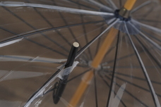 株式会社Lifeitのプレスリリース画像2