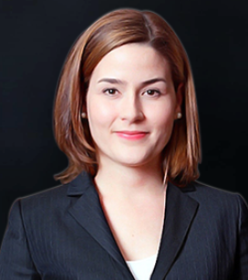 ウェーブリンク株式会社のプレスリリース画像1