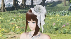 有限会社デジタルシステムのプレスリリース画像9