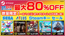 有限会社デジタルシステムのプレスリリース画像1