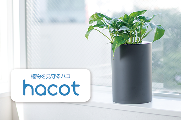 開始日143 達成 国内企業初 Iot水やりdiyキット Hacot ハコット クラウドファンディングサイトcampfireで販売中 株式会社パーソンリンクのプレスリリース 開始日143 達成 国内企業初 Iot水やりdiyキット Hacot ハコット クラウドファンディングサイトcampfireで販売中 株式会社パーソンリンクのプレスリリース