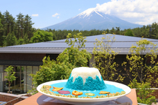 フォネットグループのプレスリリース画像4