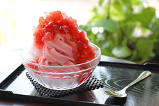 フォネットグループのプレスリリース画像7