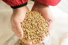 萌木の村株式会社のプレスリリース画像8