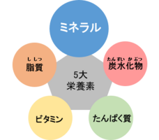 赤穂化成株式会社のプレスリリース画像7