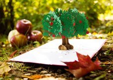 株式会社日照堂のプレスリリース画像5