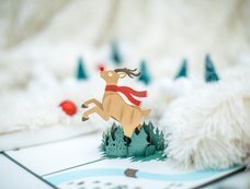 株式会社日照堂のプレスリリース画像10