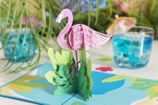 株式会社日照堂のプレスリリース画像6