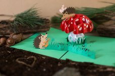 株式会社日照堂のプレスリリース画像7