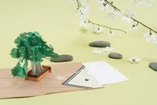 株式会社日照堂のプレスリリース画像2