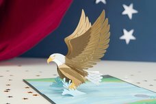 株式会社日照堂のプレスリリース画像8