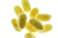 株式会社きものブレインのプレスリリース画像1