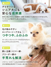 株式会社きものブレインのプレスリリース画像1