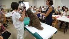 ペットアロマウェルビーイング協会のプレスリリース画像1